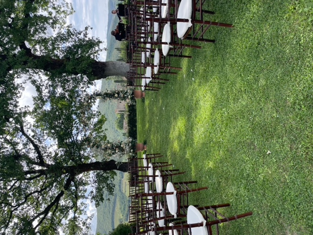 Gallery Image with either just mary,or mary and many happy couples